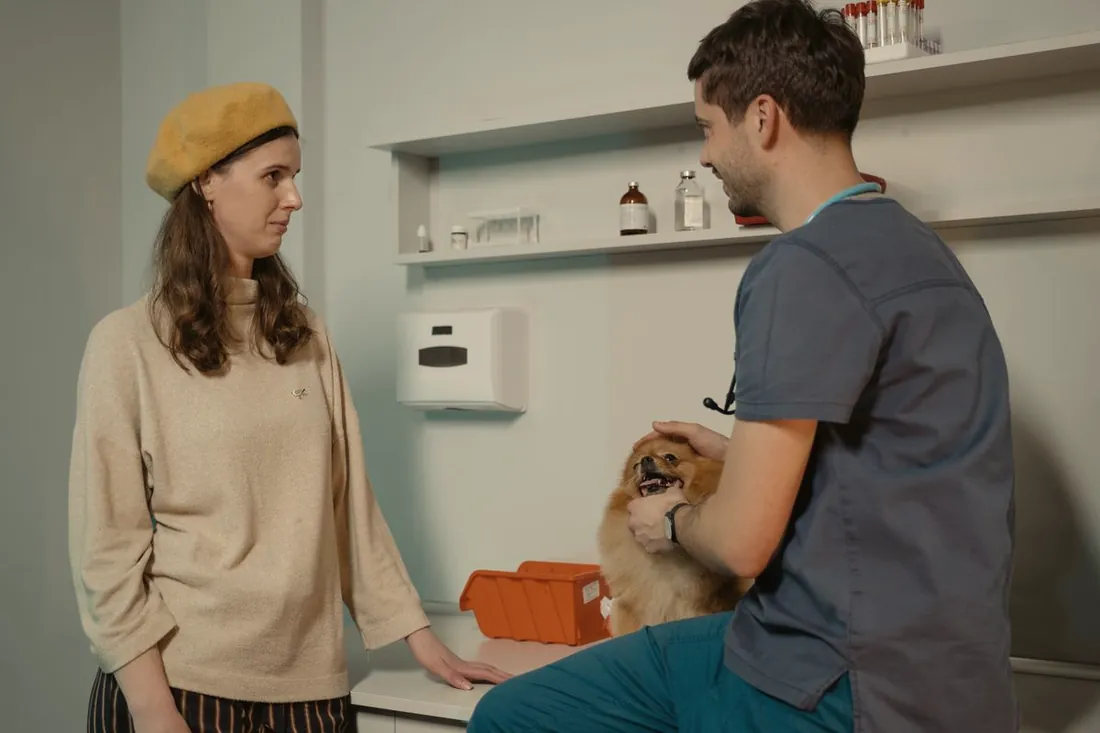Una dueña conversa con el veterinario mientras revisa a su perra en el consultorio.
